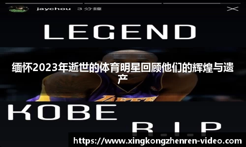 星空真人官方网站